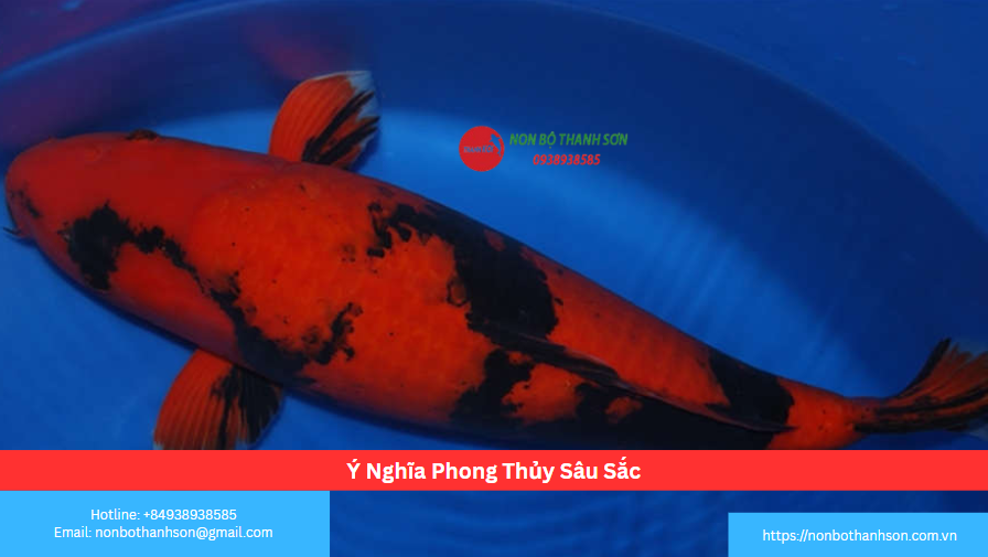 Ý Nghĩa Phong Thủy Sâu Sắc