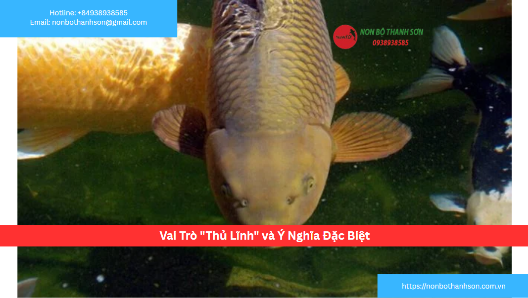 Vai Trò "Thủ Lĩnh" và Ý Nghĩa Đặc Biệt