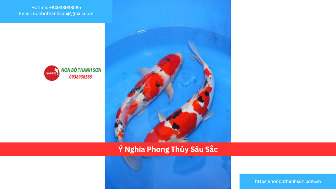 Ý Nghĩa Phong Thủy Sâu Sắc