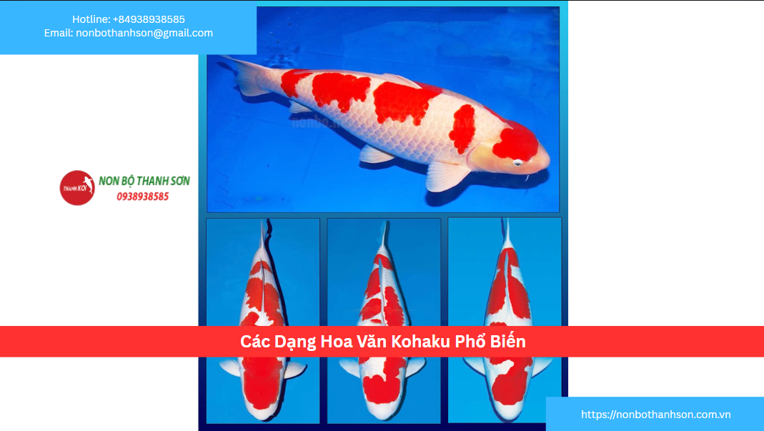 Các Dạng Hoa Văn Kohaku Phổ Biến