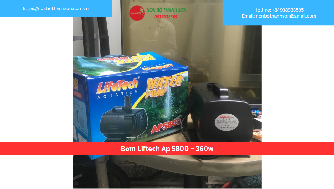 Bơm Liftech AP 5800 – 360W: "Quái Vật" Lưu Lượng Cho Các Hồ Koi Chuyên Nghiệp