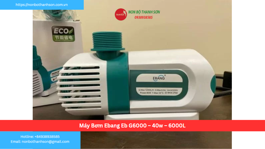Máy Bơm Ebang EB G6000: Giải Pháp Đẩy Cao Siêu Tiết Kiệm và Hiệu Quả