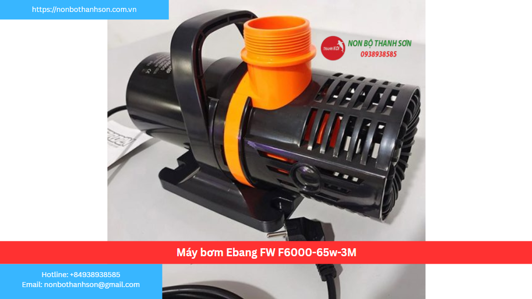 Máy bơm Ebang FW F6000-65w-3M