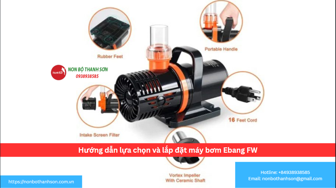 Hướng dẫn lựa chọn và lắp đặt máy bơm Ebang FW F3800 – 55w -2,5M