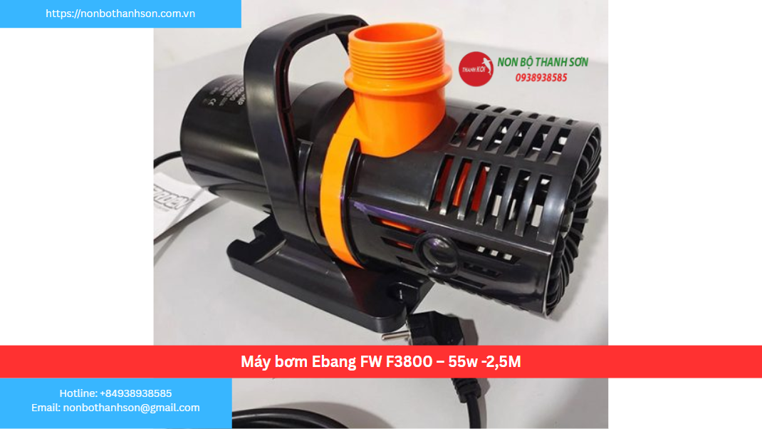 Máy bơm Ebang FW F3800 – 55w -2,5M