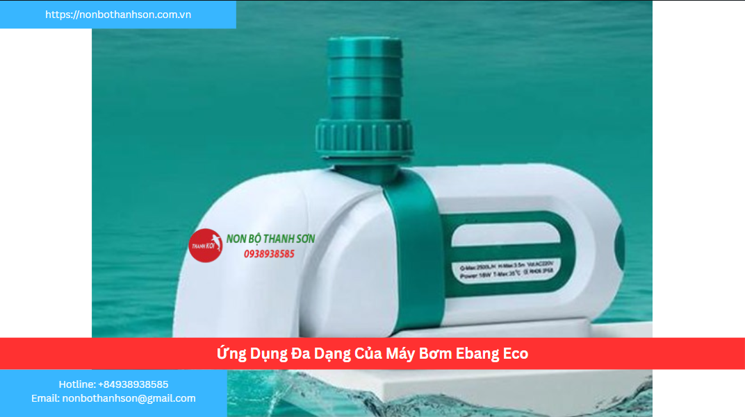 Ứng Dụng Đa Dạng Của Máy Bơm Ebang Eco 12000