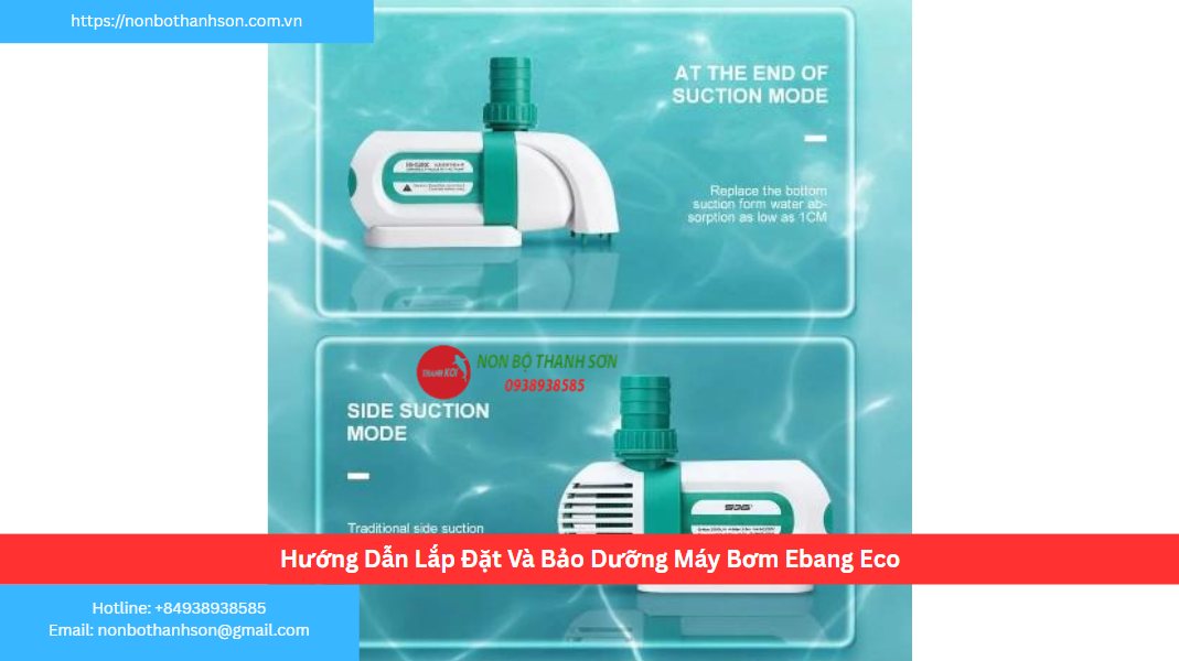 Hướng Dẫn Lắp Đặt Và Bảo Dưỡng Máy Bơm Ebang Eco 12000