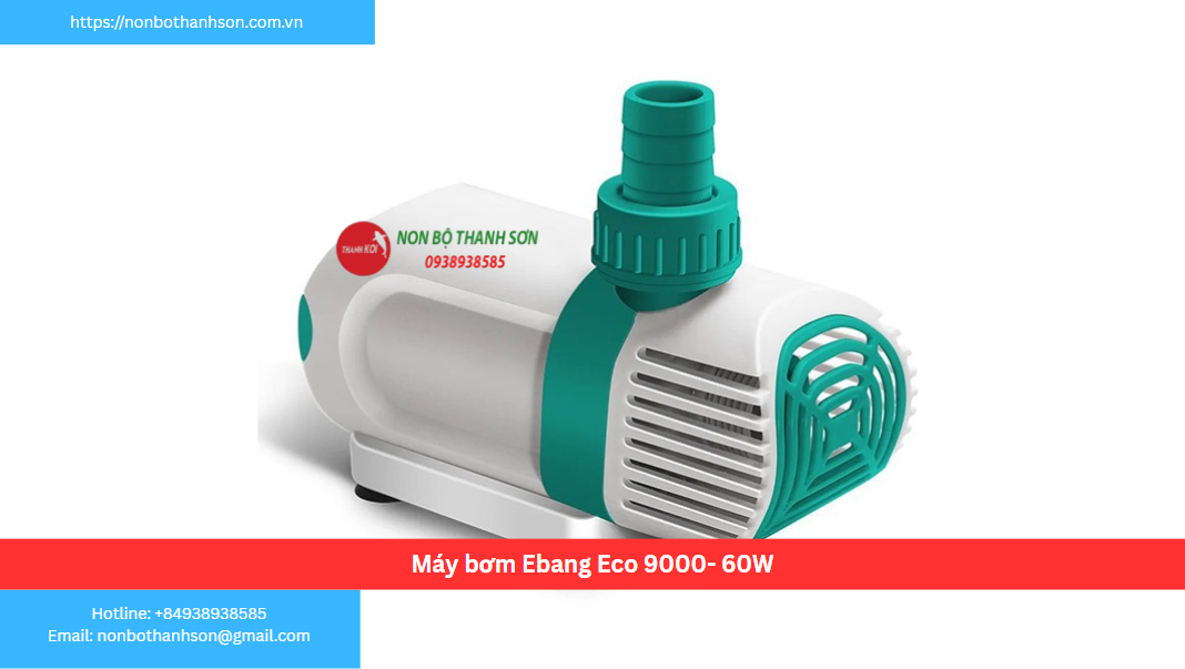 Máy Bơm Ebang Eco 9000 - Giải Pháp Vàng Cho Hồ Cá Cỡ Vừa