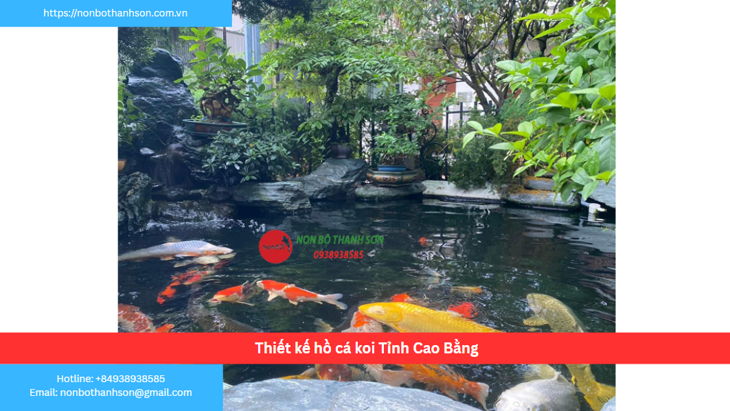 Dịch Vụ Thiết Kế và Thi Công Hồ Cá Koi Chuyên Nghiệp Tại Cao Bằng