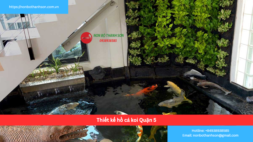 Thiết kế hồ cá koi Quận 5