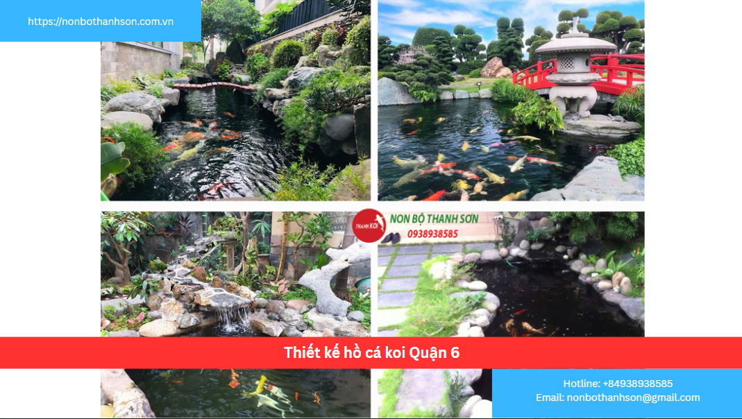 Thiết kế hồ cá koi Quận 6