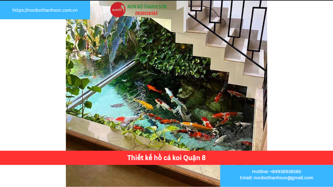 Thiết kế hồ cá koi Quận 8