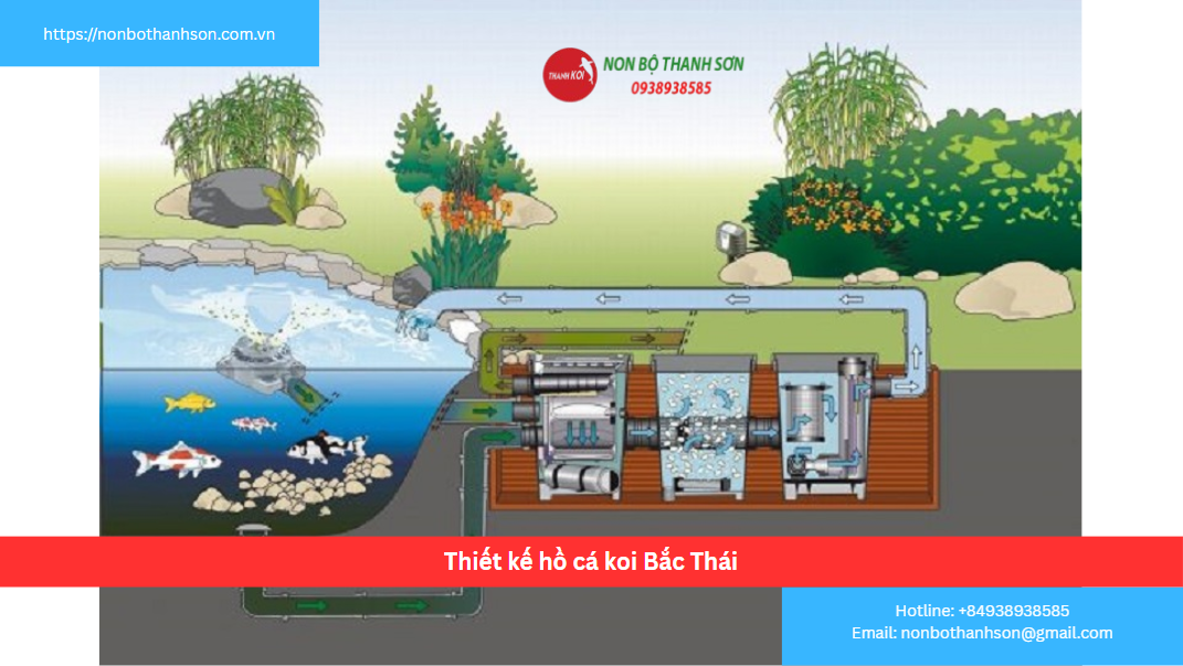 Dịch Vụ Thiết Kế và Thi Công Hồ Cá Koi Chuyên Nghiệp Tại Bắc Kạn – Thái Nguyên