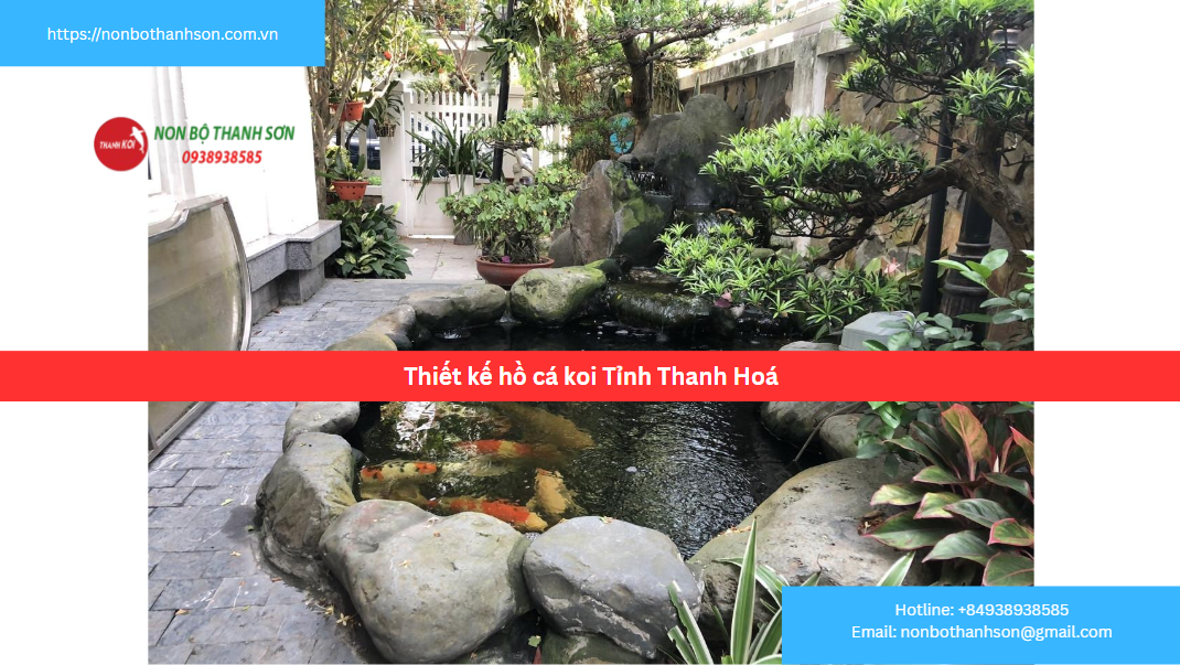 Dịch Vụ Thiết Kế và Thi Công Hồ Cá Koi Đẳng Cấp Tại Thanh Hoá