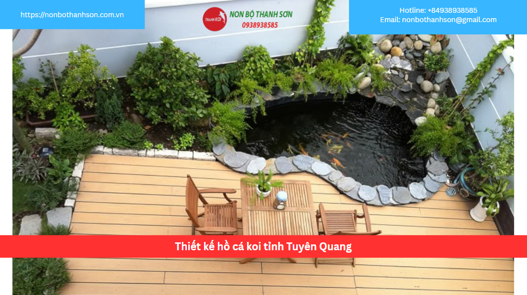 Dịch Vụ Thiết Kế và Thi Công Hồ Cá Koi Chuyên Nghiệp Tại Tuyên Quang