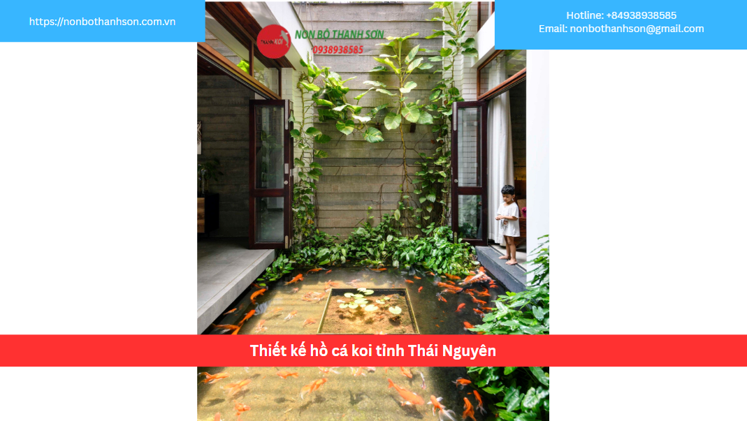 Dịch Vụ Thiết Kế và Thi Công Hồ Cá Koi Chuyên Nghiệp Tại Thái Nguyên