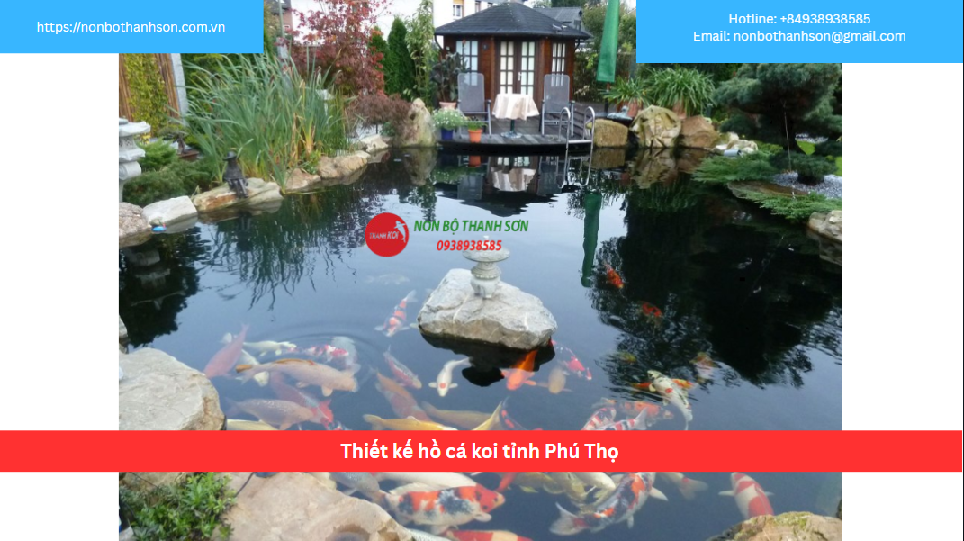 Dịch Vụ Thiết Kế và Thi Công Hồ Cá Koi Chuyên Nghiệp Tại Phú Thọ