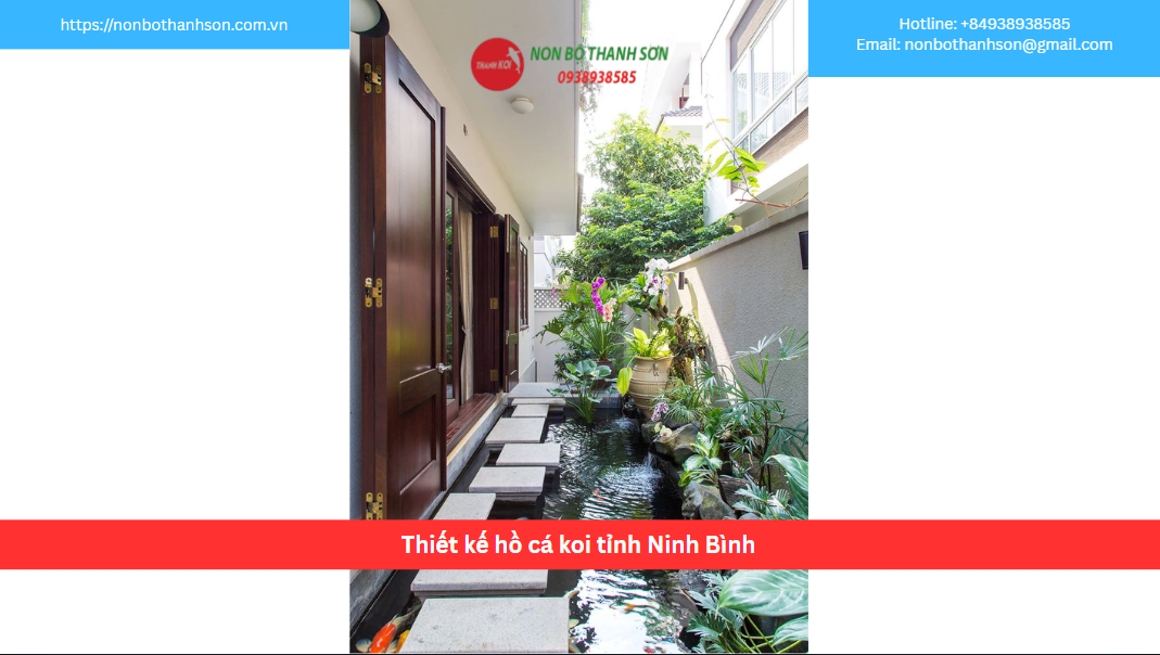 Dịch Vụ Thiết Kế và Thi Công Hồ Cá Koi Đẳng Cấp Tại Ninh Bình
