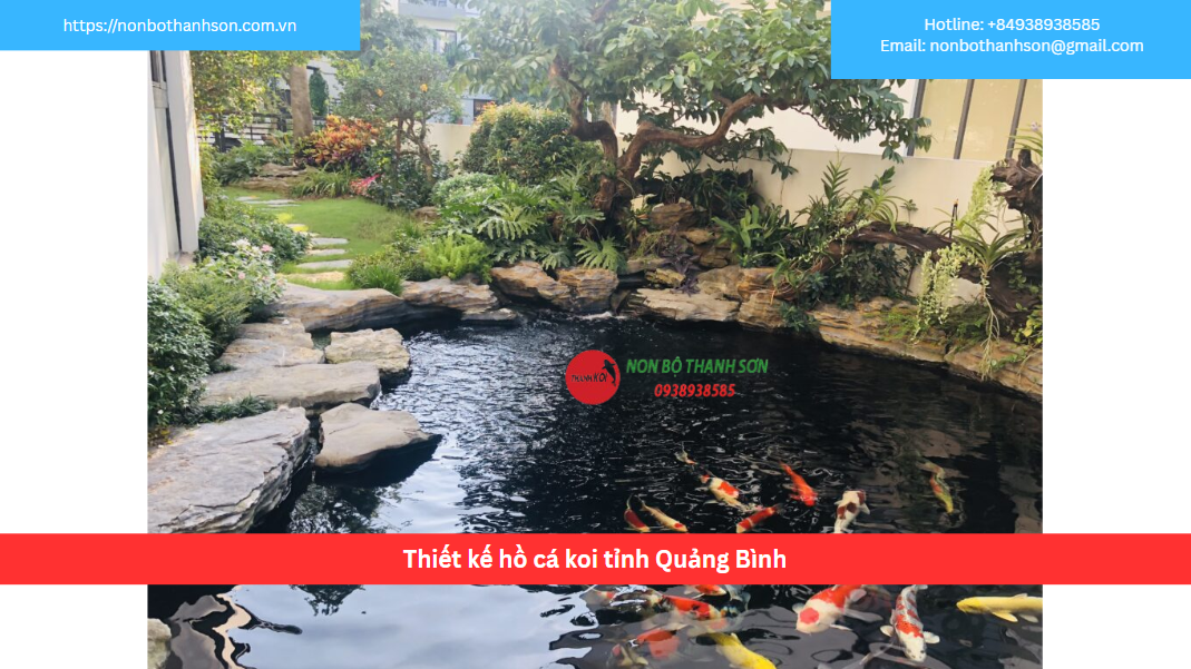 Dịch Vụ Thiết Kế và Thi Công Hồ Cá Koi Đẳng Cấp Tại Quảng Bình