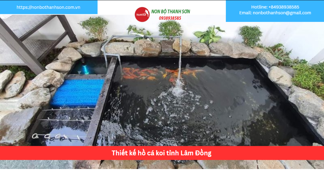 Thiết kế hồ cá Koi Lâm Đồng: Đẳng cấp, phong thủy và bền vững