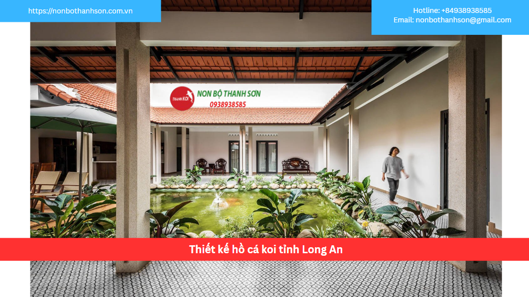 Thiết kế hồ cá koi tỉnh Long An