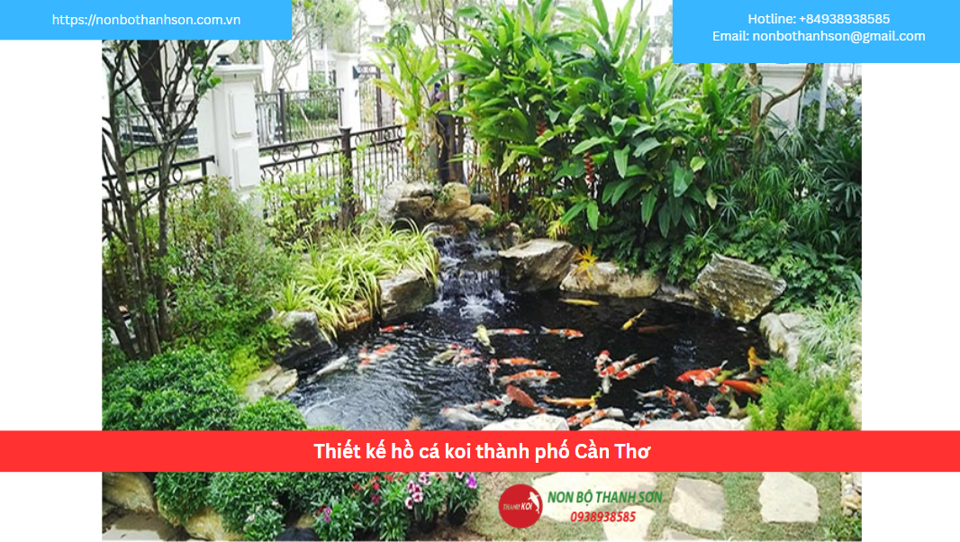Thiết kế hồ cá koi thành phố Cần Thơ