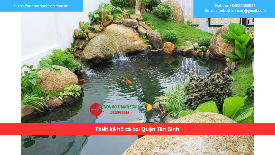 Quận Tân Bình – Vị trí lý tưởng để kiến tạo hồ cá Koi