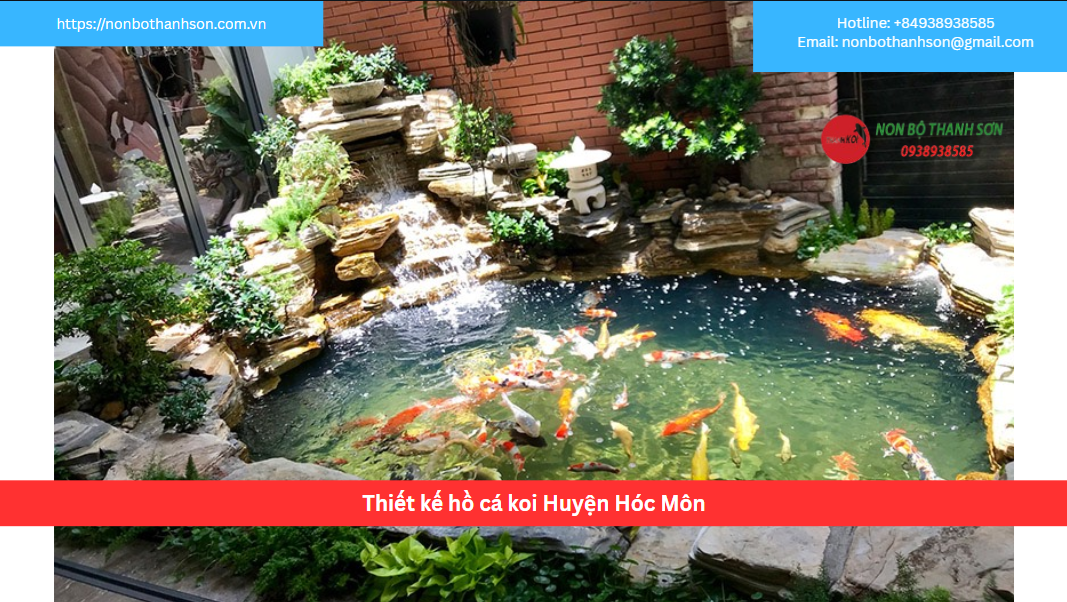 Huyện Hóc Môn – Vị trí lý tưởng để kiến tạo hồ cá Koi