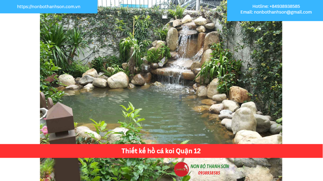 Quận 12 – Vị trí lý tưởng để kiến tạo hồ cá Koi