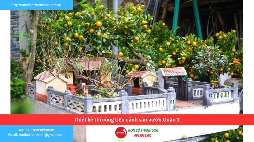 Quận 1 – Vị trí lý tưởng để kiến tạo tiểu cảnh sân vườn