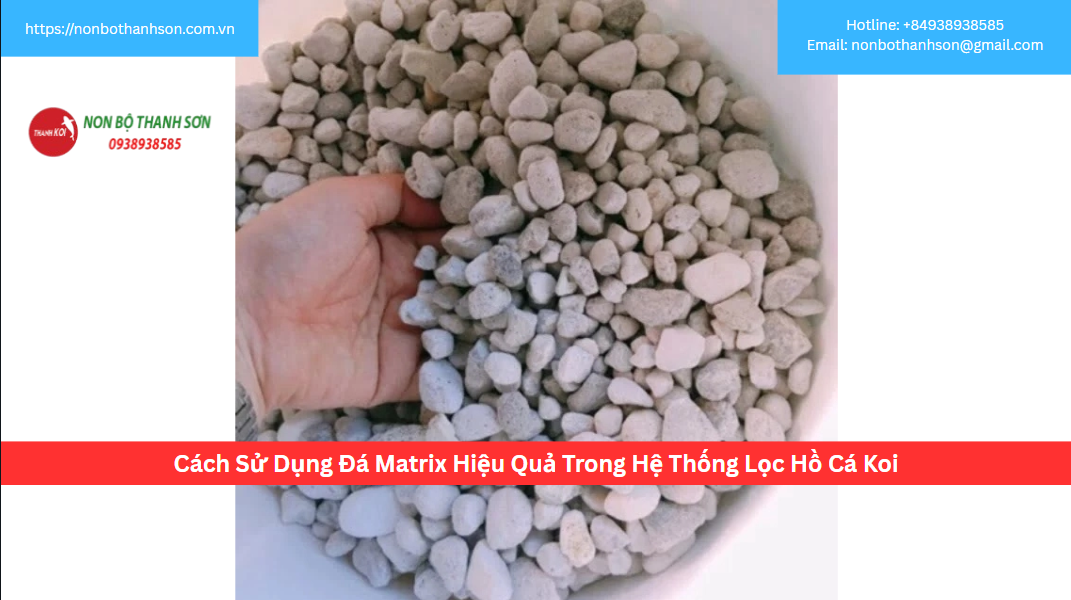 Cách Sử Dụng Đá Matrix Hiệu Quả Trong Hệ Thống Lọc Hồ Cá Koi