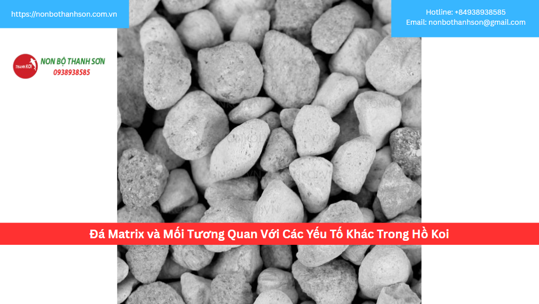 Đá Matrix và Mối Tương Quan Với Các Yếu Tố Khác Trong Hồ Koi