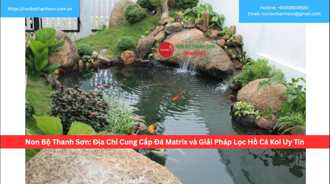 Non Bộ Thanh Sơn: Địa Chỉ Cung Cấp Đá Matrix và Giải Pháp Lọc Hồ Cá Koi Uy Tín