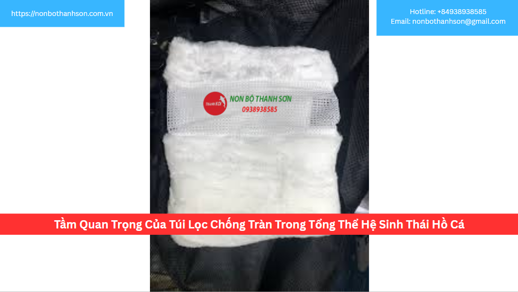 Tầm Quan Trọng Của Túi Lọc Chống Tràn Trong Tổng Thể Hệ Sinh Thái Hồ Cá