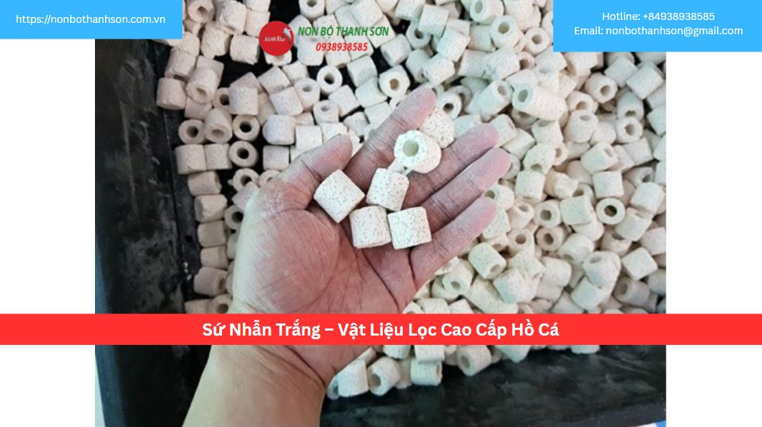 Sứ Nhẫn Trắng – Vật Liệu Lọc Cao Cấp Hồ Cá