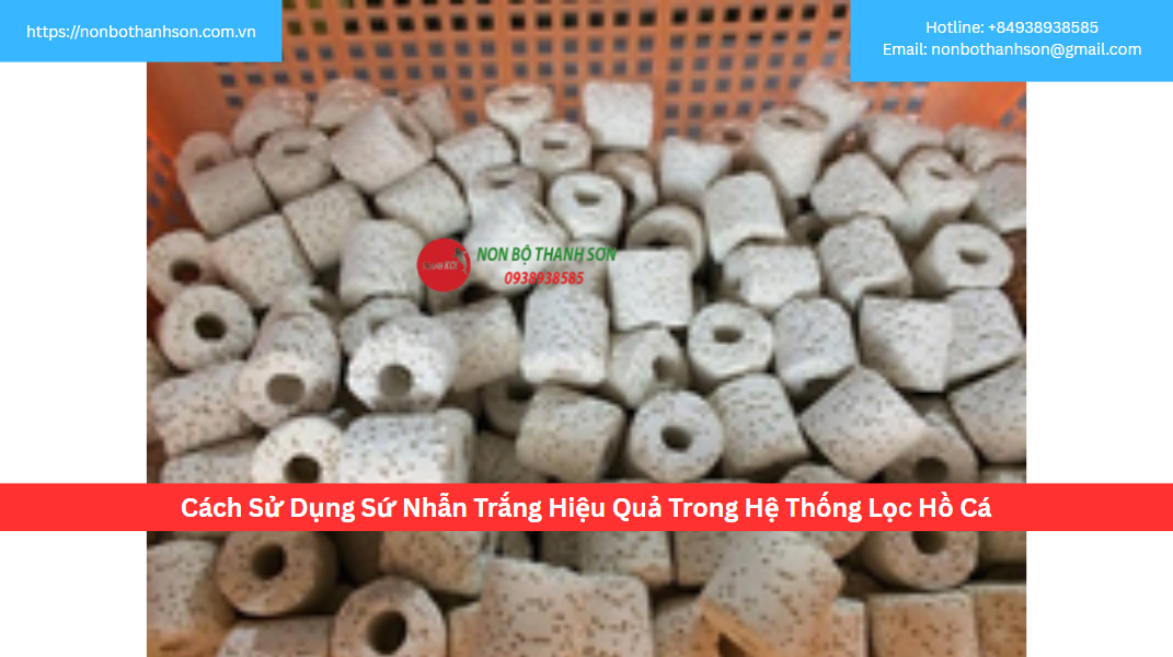 Cách Sử Dụng Sứ Nhẫn Trắng Hiệu Quả Trong Hệ Thống Lọc Hồ Cá