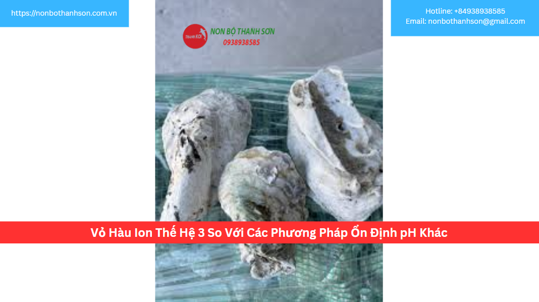 Vỏ Hàu Ion Thế Hệ 3 So Với Các Phương Pháp Ổn Định pH Khác