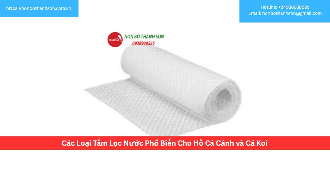 Các Loại Tấm Lọc Nước Phổ Biến Cho Hồ Cá Cảnh và Cá Koi