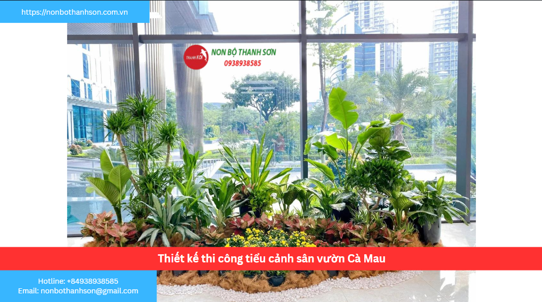Cà Mau – Vị trí lý tưởng để kiến tạo tiểu cảnh sân vườn