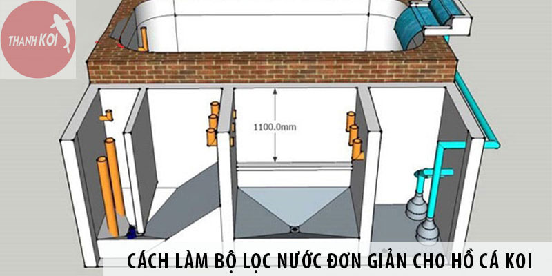 Cách Bố Trí Hệ Thống Lọc Hồ Cá Koi Hiệu Quả