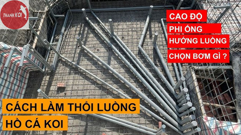Cách Làm Thổi Luồng Cho Hồ Cá Koi: Hướng Dẫn Chi Tiết Từ A-Z