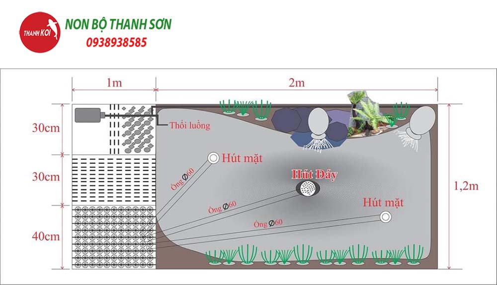 Phác Thảo Bản Vẽ Hồ Cá Koi