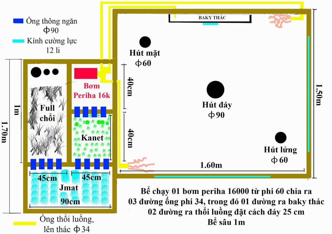 Phác Thảo Bản Vẽ Hồ Cá Koi
