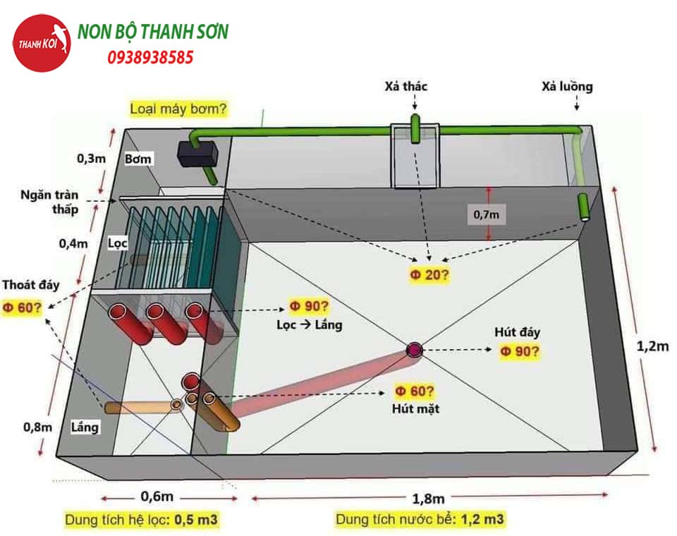 Phác Thảo Bản Vẽ Hồ Cá Koi
