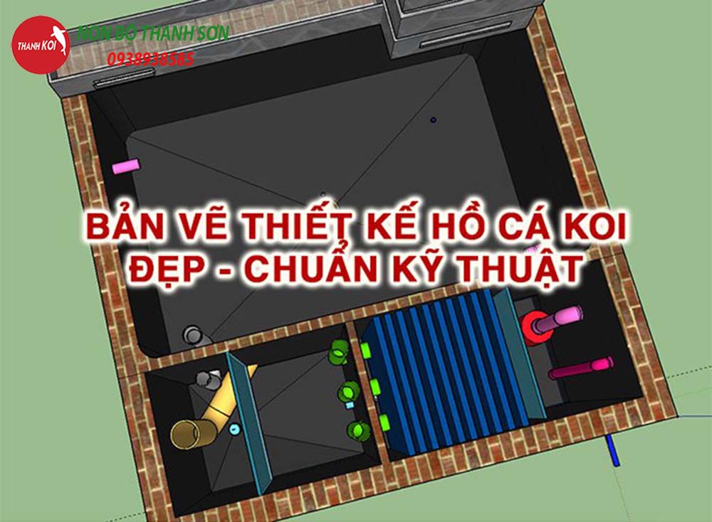 Phác Thảo Bản Vẽ Hồ Cá Koi