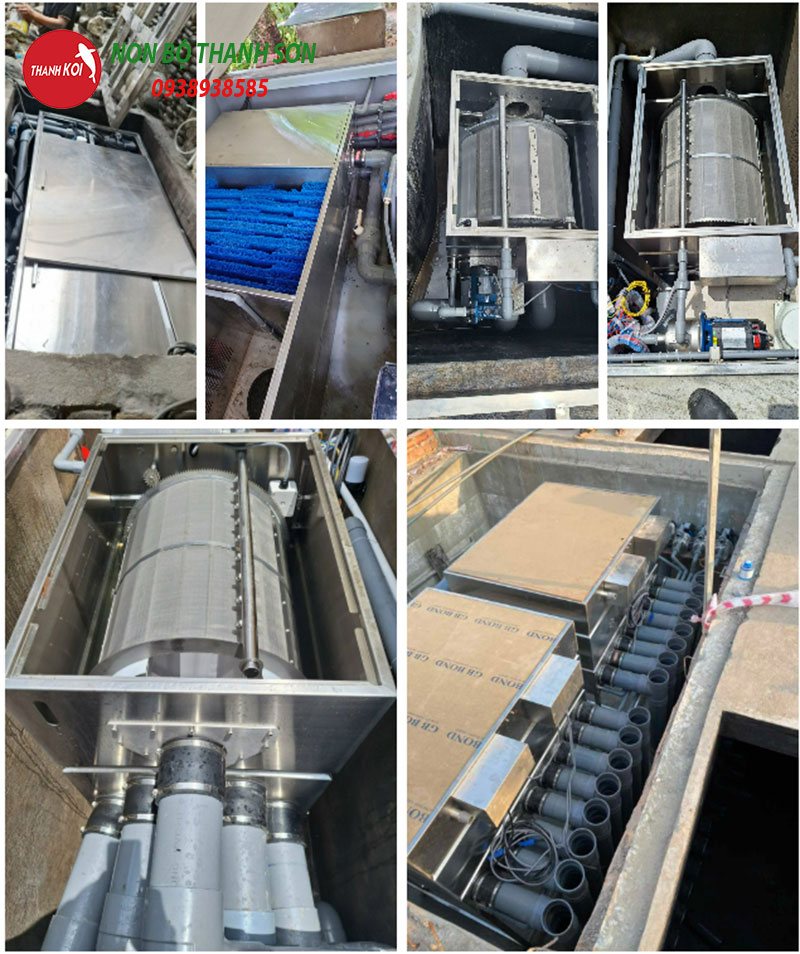 Hệ thống lọc nước hồ cá koi drum ngoài trời