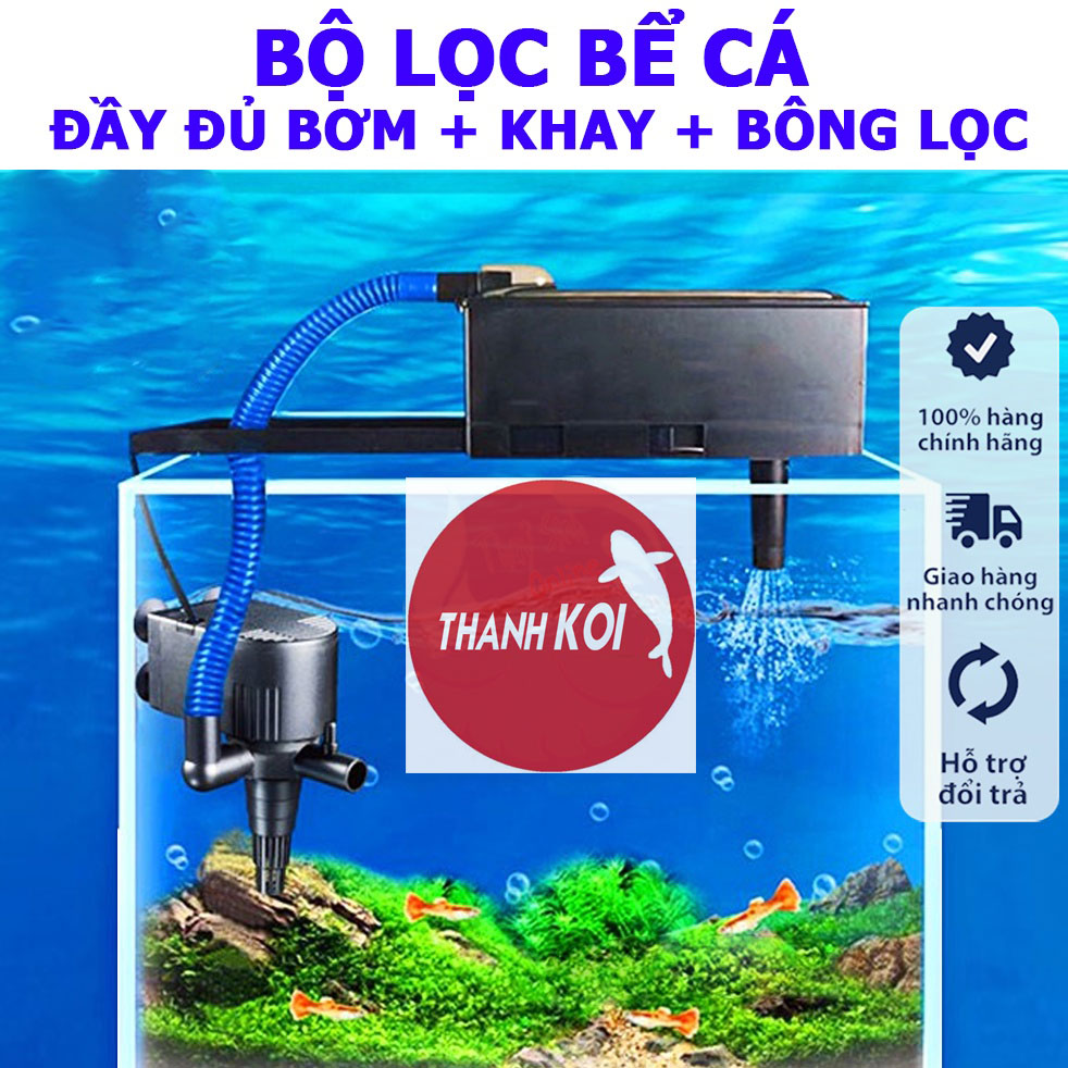 Máy Hút Cặn Hồ Cá Lớn: Giải Pháp Tối Ưu Cho Hồ Cá Sạch Đẹp