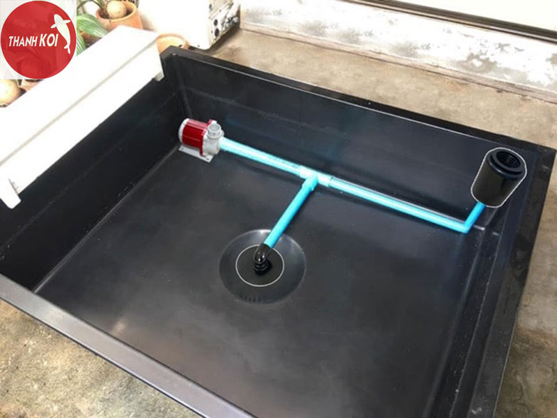 Ống hút đáy hồ cá Koi