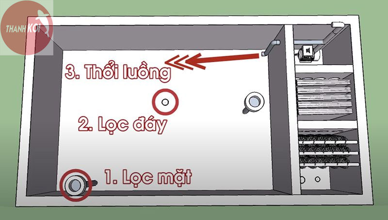Sơ đồ nguyên lý hệ thống lọc hồ cá Koi: Bí quyết giữ nước trong sạch cho hồ cá