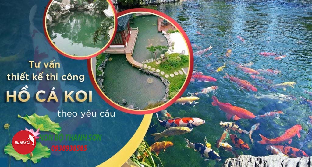 Thiết Kế Hồ Cá Koi: Hành Trình Tạo Nên Một Tác Phẩm Nghệ Thuật Trong Sân Vườn